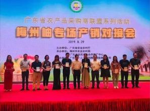 梅州柚香飘万里，一亩田网络汇聚全国采购大咖共襄盛举